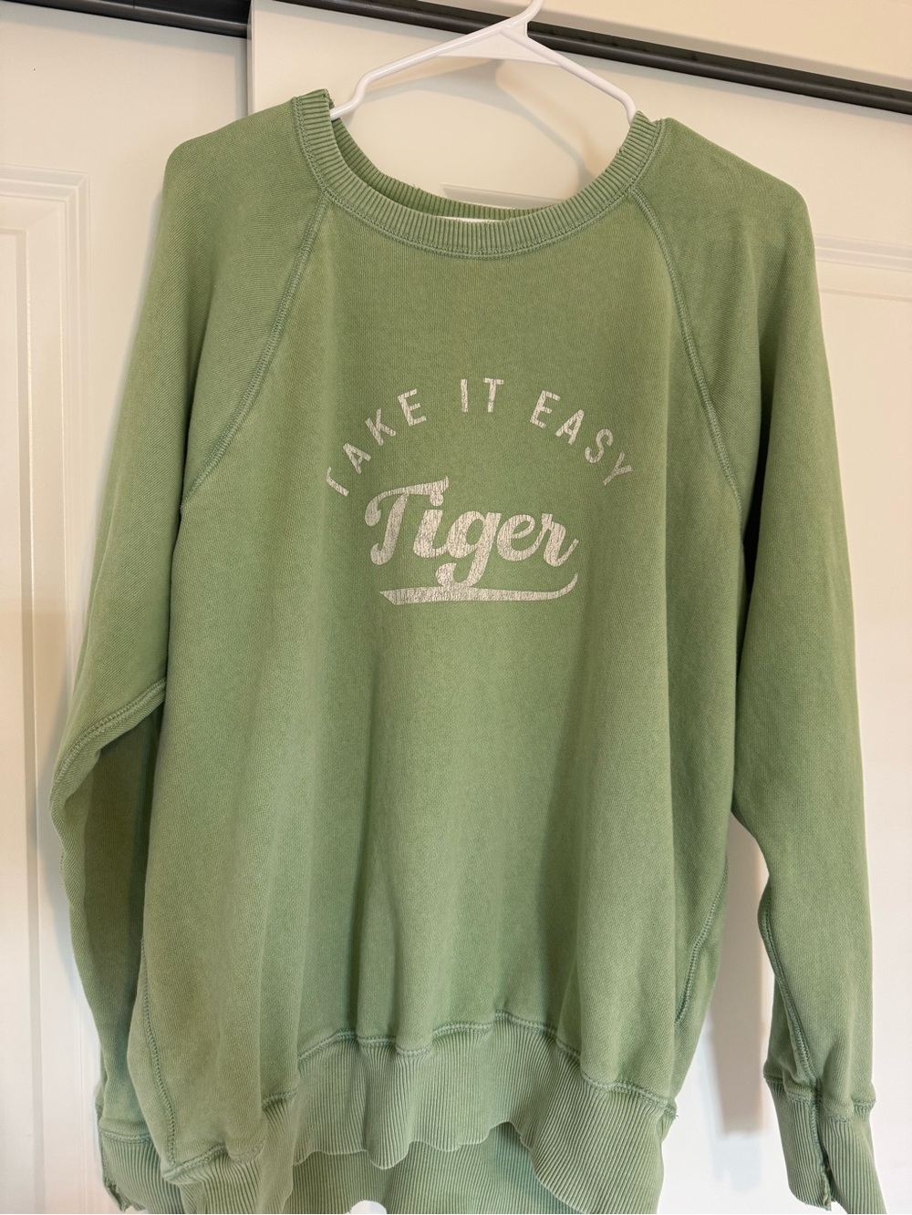 Aerie Women’s Oversized Take it Easy Tiger Green Crewneck Sweatshirt